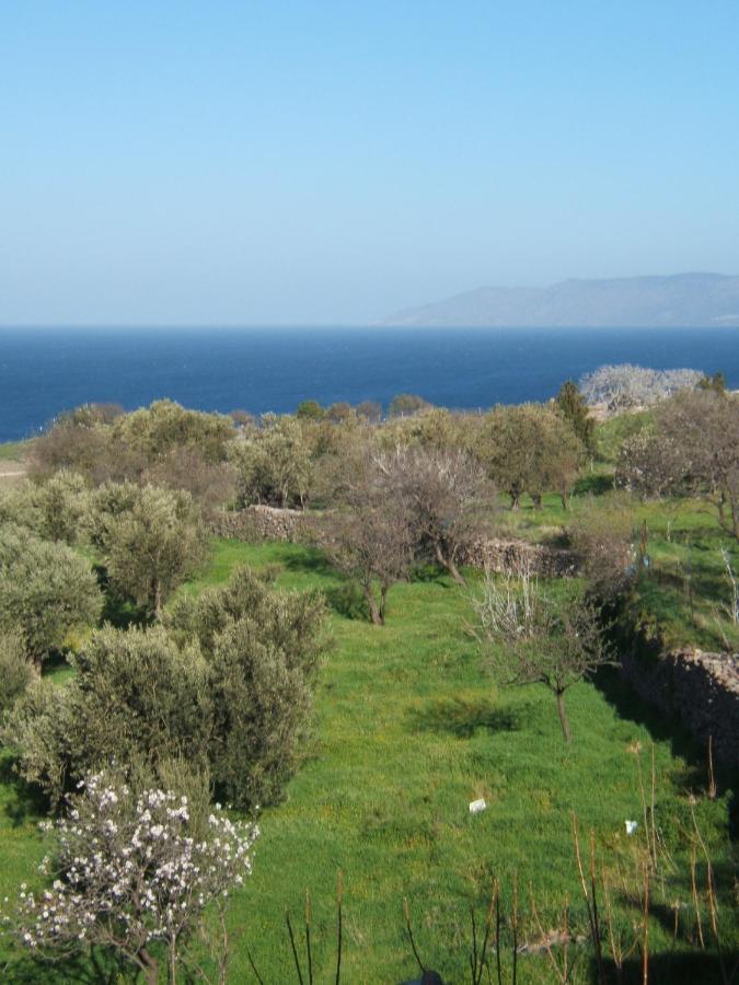 Eleana Villa Mithymna